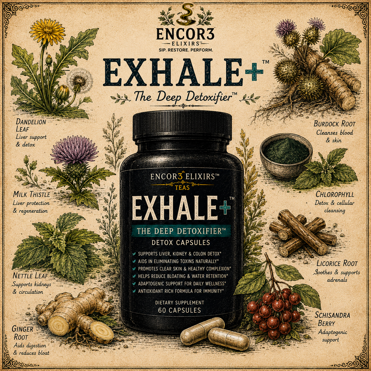 Exhal3+™ | Daily Calm & Nervous System Balance Capsules